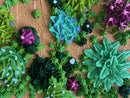 3D succulents-11