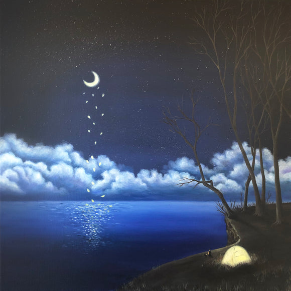 Nightfall with flow of summer lake