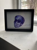 Skull Head-2