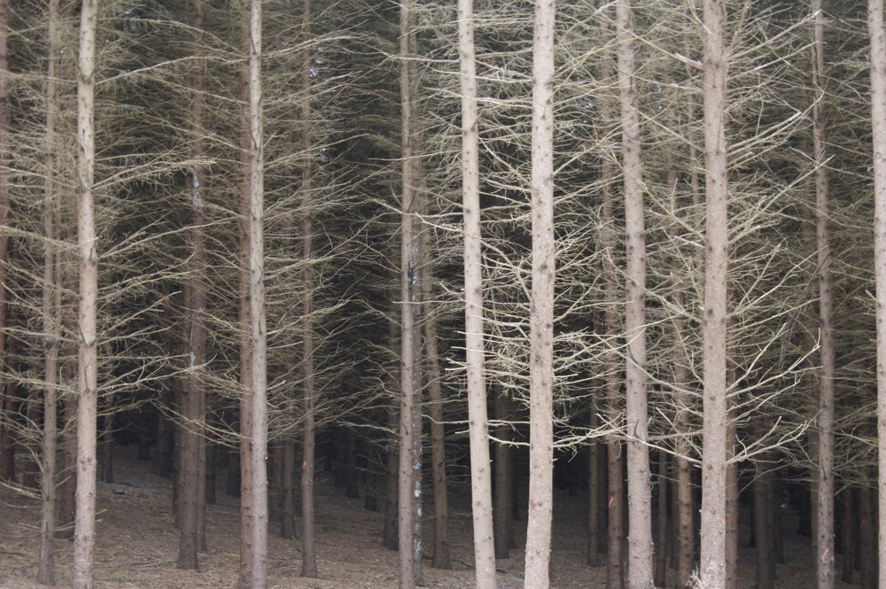 This is a haunting | helloart