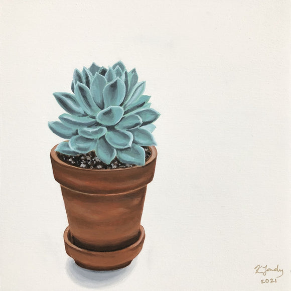 Echeveria