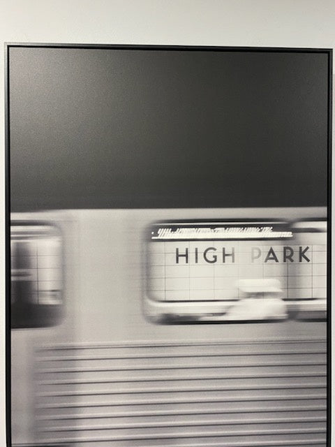 High in the Park