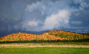 Fall Colour, Maxwell Settlement-1