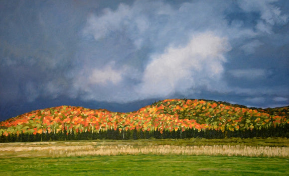 Fall Colour, Maxwell Settlement