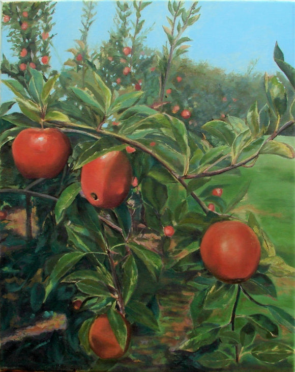 Apples