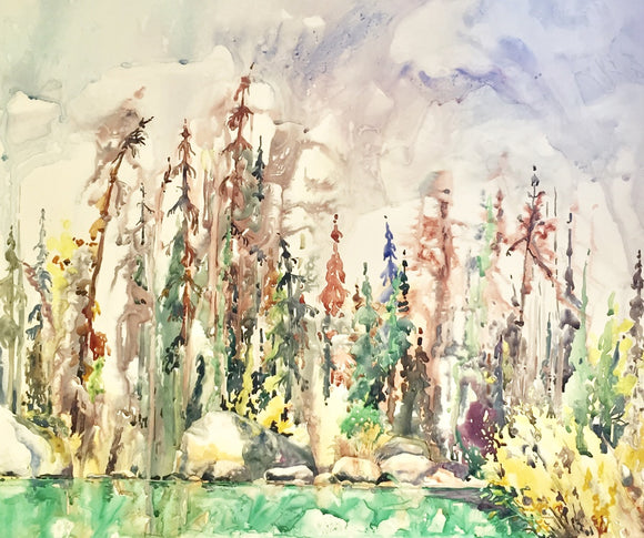 Rainfall at Horseshoe Lake