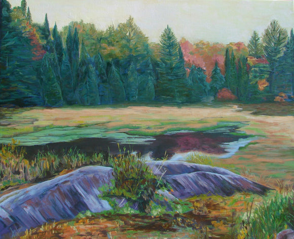Fall in Algonquin