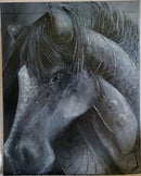 Black Beauty-2