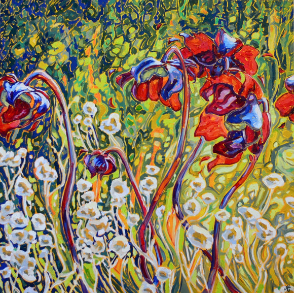 Pitcher Plant VIII