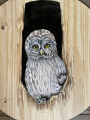 Night owl-1