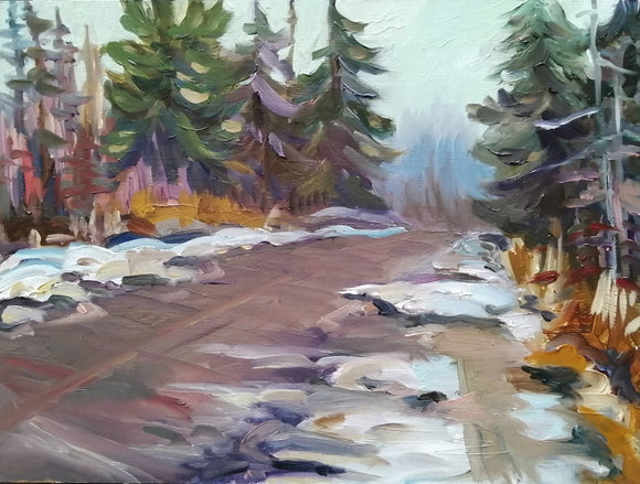 Hwy 529 in winter