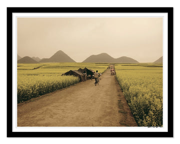 LUOPING FIELDS, Luoping, China 2011