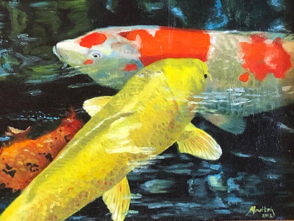Koi