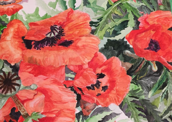 Such Poppies!