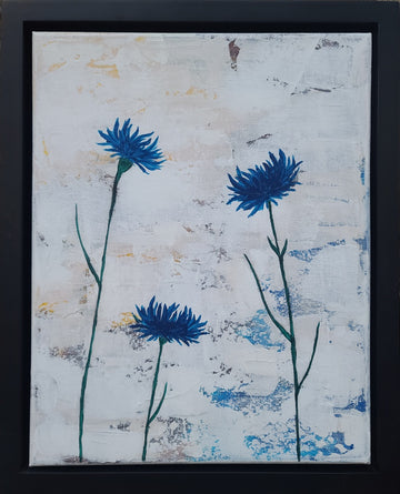 Blue Cornflowers IV