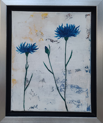 Blue Cornflowers V