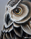Great Horned Owl Portrait-1