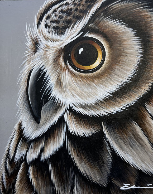 Great Horned Owl Portrait