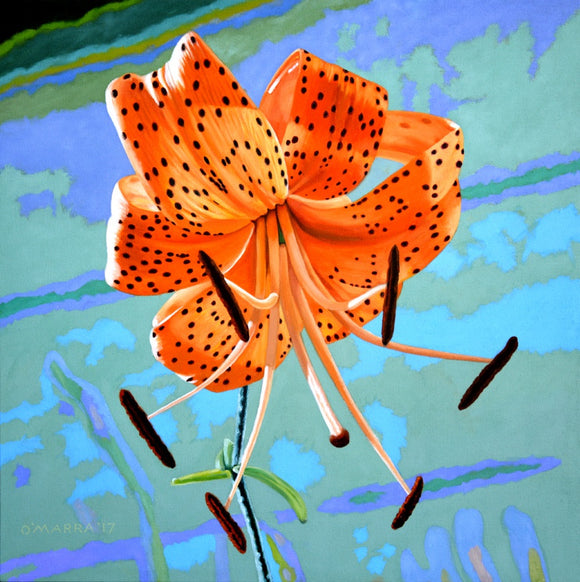 My Tiger Lily