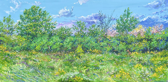 The Meadow
