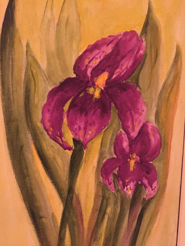 Iris on Canvas