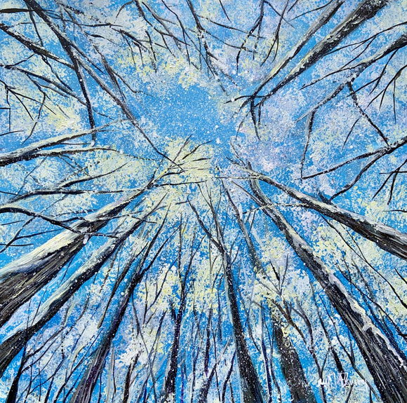 Looking-Up Winter
