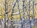4 Seasons - Winter-1
