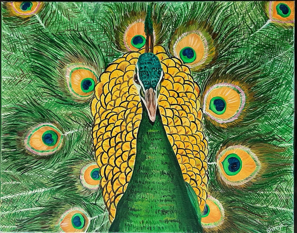 The bird beauty