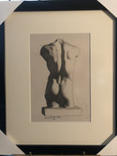 Torso-2