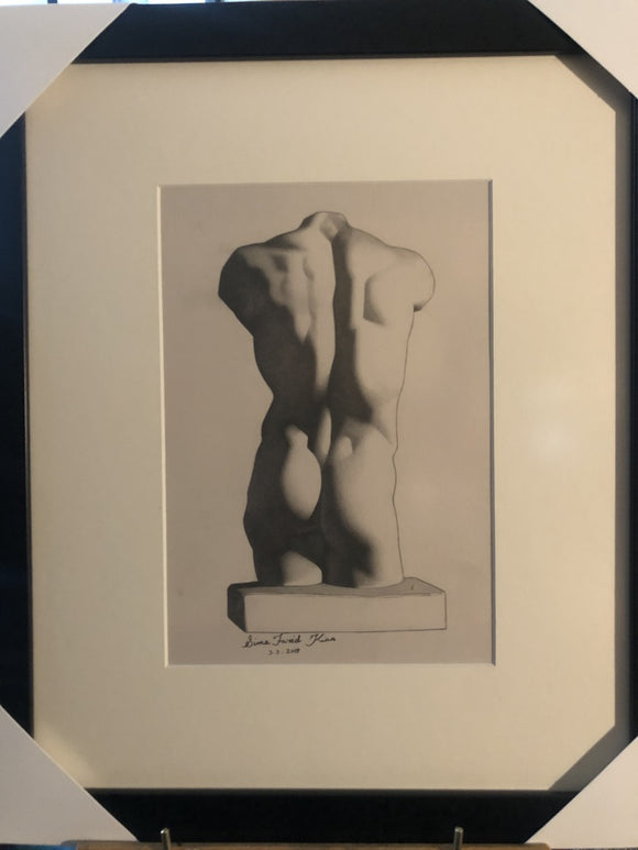 Torso