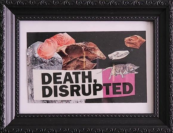 Death, Disrupted