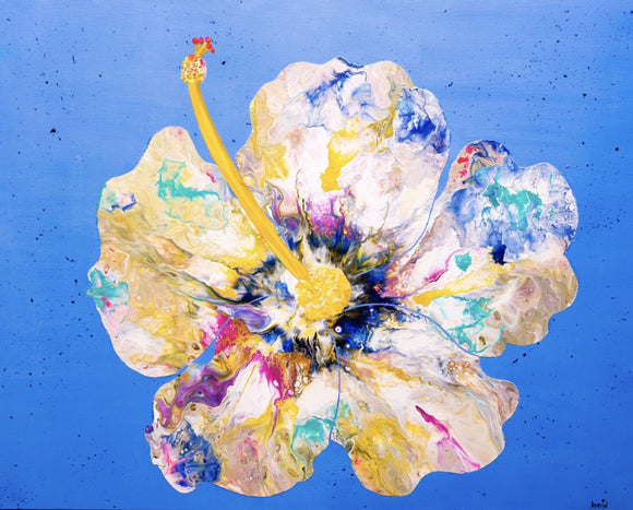 Beautiful Hibiscus