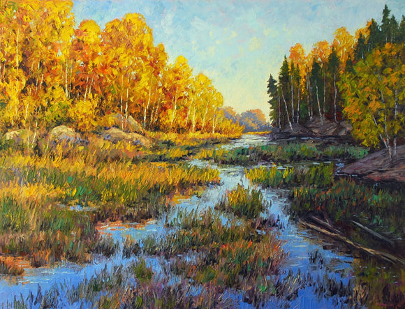 Fall in Albion Hills