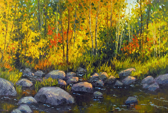 Forest Creek