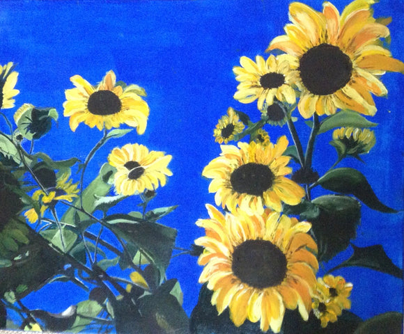 Sunflowers