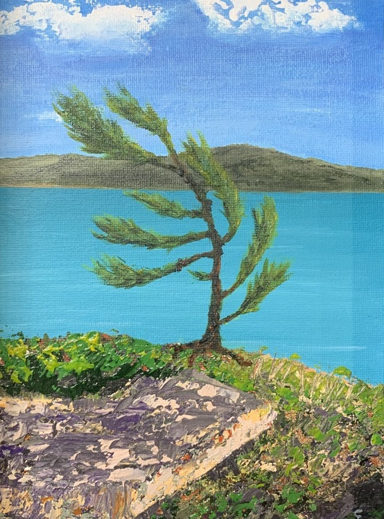 “Windswept”