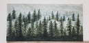 Misty Forest-2