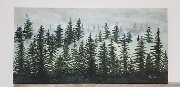 Misty Forest