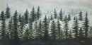 Misty Forest-1