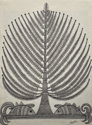 The Tree of Life-1