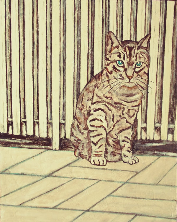 Blue Eyed Cat