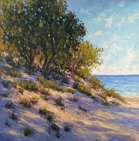 Dunes on Lake Erie