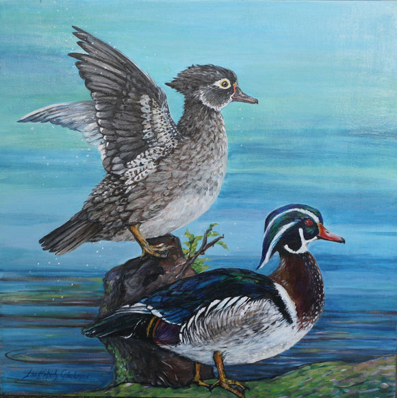 Wood Ducks Surveying their Domain