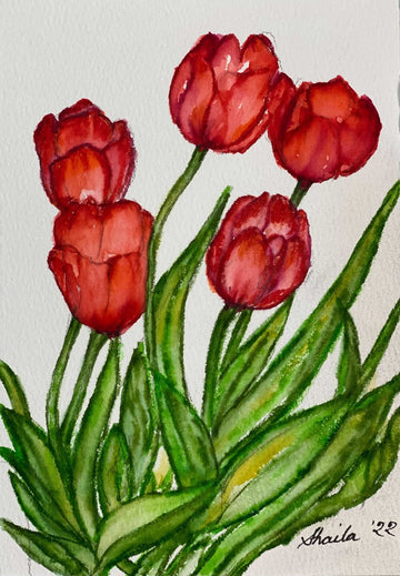 Red Tulips  ( Summer bloom series)