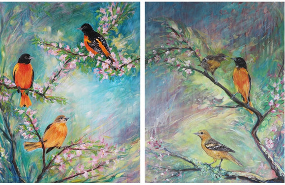 Baltimore Orioles in Crabapple Blossoms
