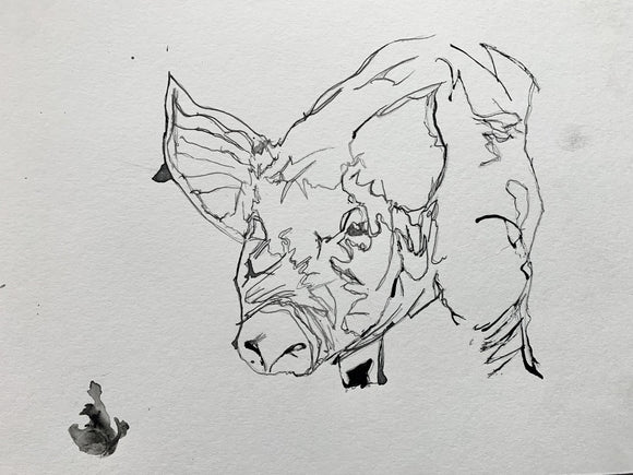 PIG