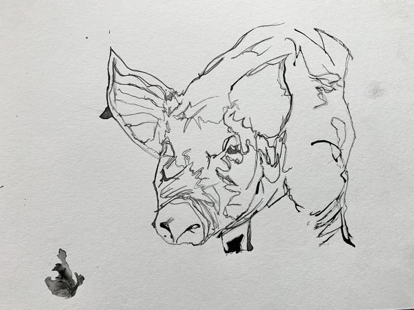 PIG