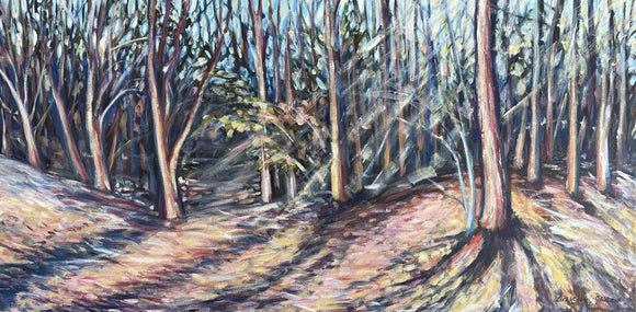 Sun Streams in the Forest