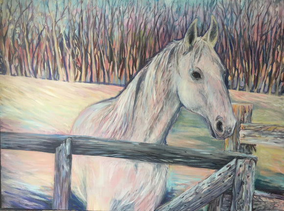 Chazal in the Paddock