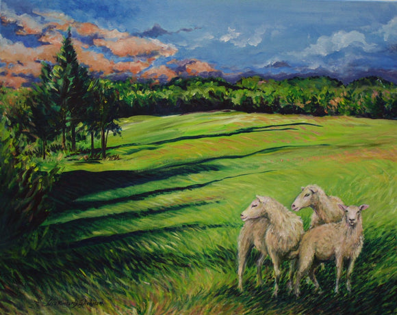 Sheep at Dusk